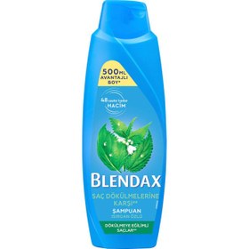 Resim Blendax Saç Dökülmesine Karşı Şampuan 500ml 