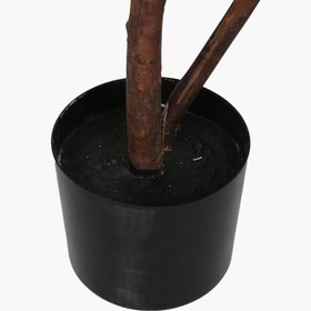 Resim Saksılı 6 Başlı Milano Ağacı 180cm 