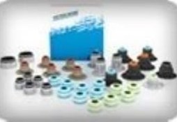 Resim CORALLA ( SUBAP KEÇESİ ) LASTİĞİ (16V) 1993/2002 MODEL 1.6 INJ 