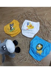 Resim Erkek Bebek Sevimli 3'lü Alıştırma Külodu 