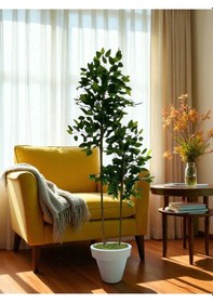 Resim 150 Cm Benjamin 2 Çubuklu Beyaz Plastik Saksı Yeşil 