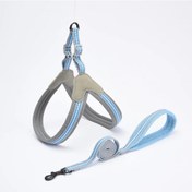 Resim Açık Yürüyüş Yavru Kedi Tasması Küçük Kediler İçin Mascotas Aksesuarları Örgü Gray Xl 