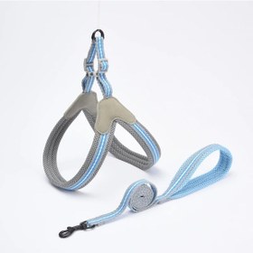 Resim Açık Yürüyüş Yavru Kedi Tasması Küçük Kediler İçin Mascotas Aksesuarları Örgü Gray Xl 