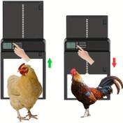 Resim Alüminyum Otomatik Tavuk Kümesi Kapısı Anti-Sıkışma Fonksiyonu ile - Kendi Kendine Yeterli, Elektriksiz Çalışma, Dahili LCD Ekran, Zamanlanmış Açma/Kapama Özelliğine Sahip Güvenli Kümes Muhafızı 