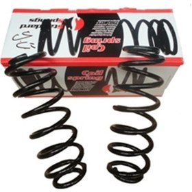 Resim Peugeot 307- 2006-2008- Arka Helezon Yayı Sağ Taraf /sol Taraf 2li Set 11,75x108 Stdr 