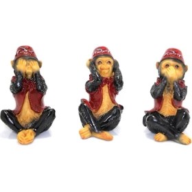 Resim 3'lü Polyester Maymun Seti 