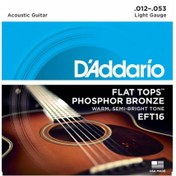 Resim D'Addario EFT16 Flat Tops Akustik Gitar Teli (12-53) 