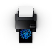 Resim Epson Surecolor Sc-p700 Profesyonel Fotoğraf Yazıcısı 