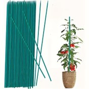 Resim İç Mekan Bitkileri için 10 Adet Bambu Destek Çubukları - Ağır Hizmet Tipi Bahçe Desteği, Çiçek/Domates/Sarmaşık Sabitleme (Doğal Yüksek Kalite) 