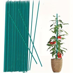 Resim İç Mekan Bitkileri için 10 Adet Bambu Destek Çubukları - Ağır Hizmet Tipi Bahçe Desteği, Çiçek/Domates/Sarmaşık Sabitleme (Doğal Yüksek Kalite) 