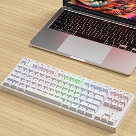 Resim Valkyrie Leaven K870 Blue Switch Mekanik Gaming Oyun Klavyesi RGB 61 Key Mavi Tuş Type-C Klavye BEYAZ 