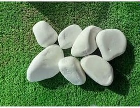 Resim Beyaz Dolomit Taş 10 Kg 2 5 4 Cm Dekoratif Bahçe Süs Taşı Loche 