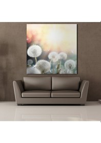 Resim Karahindiba Çiçekleri Kanvas Tablo 200x200cm 