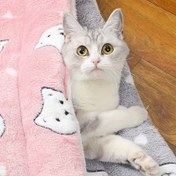 Resim Rahat Flanel Kedi Yatağı Matı - Tüm Sezonlar İçin Konfor, Sevimli & Sıcak Kedi Uyku Pedi 