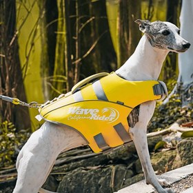 Resim Paw Portal Köpek Can Yeleği - L / Floresan Sarı 