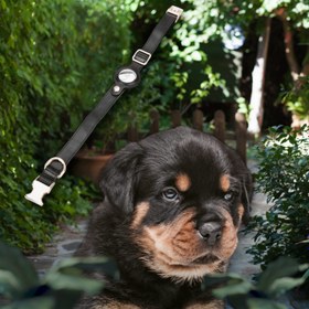 Resim Hakiki Deri, El Yapımı, Apple Airtag Yuvalı Köpek Tasması, 34-50cm Ayarlanabilir Ölçü, Rustik Siyah 