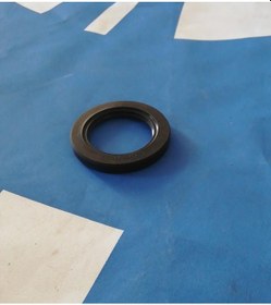 Resim . TATA TELCOLİNE ÖN KRANK KEÇESİ 254701107807 