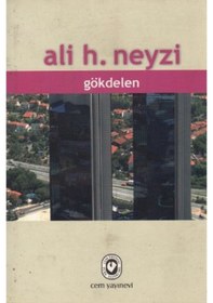 Resim Gökdelen - Ali H. Neyzi - Cem Yayınevi 