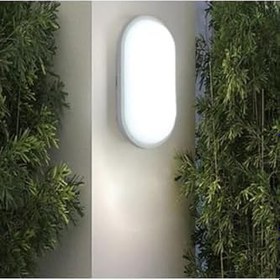 Resim Banyo Tavan Lambası Aydos 20W Oval Balkon Tavan Lambası 6400K Beyaz LED Işık Teras Duvar Lambası (Beyaz) 