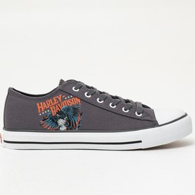 Resim Harley Davidson Pearland Erkek 