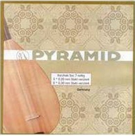 Resim Pyramıd Profesyonel Bağlama Teli 018 