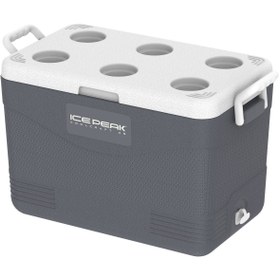 Resim IcePeak CoolCraft 46 Buzluk 41.6 Litre-FÜME 