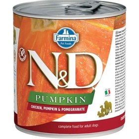 Resim N&D Tahılsız Tavuklu Bal Kabaklı & Narlı Konserve Yetişkin Köpek Maması 285 G 