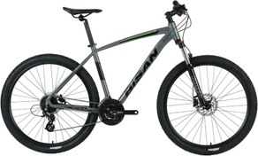 Resim Bisan MTX7300 26 Jant 24 Vites 48CM Erkek Dağ Bisikleti Gri - Yeşil 