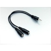 Resim Electroon 3.5Mm Erkek - 2X3.5Mm Dişi Çevirici Kablo 20Cm (225954321) 