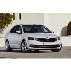 Resim Skoda Octavıa Kilit Koruyucu Kapak (380010133) 