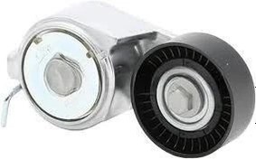Resim Fiat Palio Alternatör Gergi Rulmanı 1.2-1.6 / 8V-16V Orijinal OPAR 55258443 