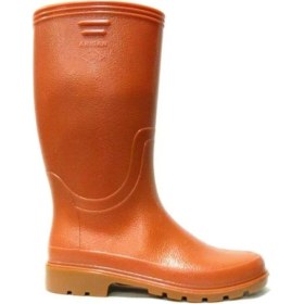 Resim Arısan Krep Çizme Uzun 41 No 