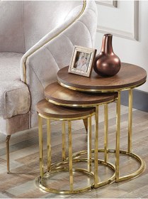 Resim 3' Lü Koyu Ceviz Ahşap Gold Metal Sehpa 