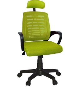 Resim Türksit Karizma File Müdür Koltuk Plastik Ayak Yeşil 