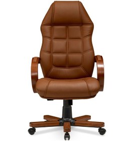 Resim Royal Konfor 2 Bilgisayar - Ofis - Müdür - Büro - Makam Çalışma Koltuğu Taba Renk Ahşap Ayaklı Taba 