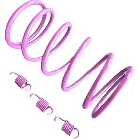 Resim Arora Beatrix 150cc Motosiklet Arka Varyatör Performans Yayı + Balata Yayı (1500 Rpm) 