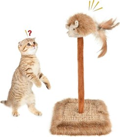 Resim Sesli Oyuncaklı Kedi Tırmalama Tahtası 