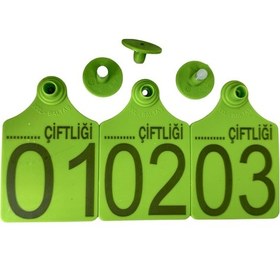 Resim 100 Adet Yeşil Xl Büyükboy Hayvan Küpesi Pens Ucu Hediye 