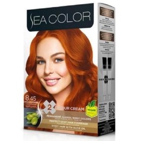 Resim Sea Color Set Boya 8.45 Tarçın Bakır 