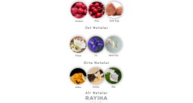 Resim Rayiha Britni Spars Midnight Fantasy Büyüleyici ve Gizemli Kadın Parfüm 100ML 
