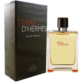 Resim Terre De Hermes Classıc Home 100 ML 