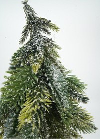 Resim Karlı Yılbaşı Ağacı 
