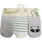 Resim Tezcanstore Bibaby Biorganic Clever Boy 3'Lü Çorap 68359 Gri-Gri-0-3 Ay 