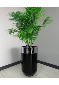 Resim Dekoratif Krom Darbuka Parlak Siyah Saksı 70cm 