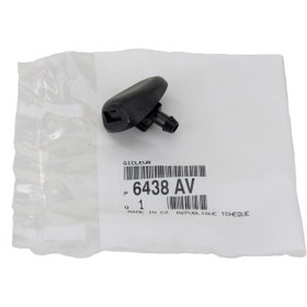 Resim PSA 6438.AV | Peugeot 206 1998-2011 Ön Su Fiskiye memesi Orijinal 