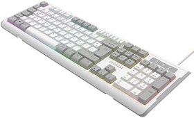 Resim Everest KB-74 USB Rainbow Aydınlatmalı Q Membrane Multıemdya Gaming Oyuncu Klavyesi (Beyaz Gri) 