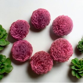 Resim Baykuşca 6'lı Bordo Gelin Çiçeği, Kına Çiçeği 