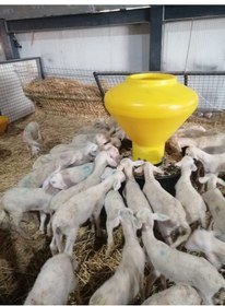 Resim Plastik Akıllı Yemlik 