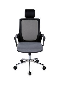 Resim Ofisbazaar Alf Fileli Yönetici Koltuğu Ergonomik Başlıklı Ofis Koltuğu Gri Gri 