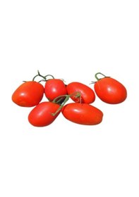 Resim Kurutmalık Salçalık Domates Bursa Domatesi Tohumu 30 Tohum 